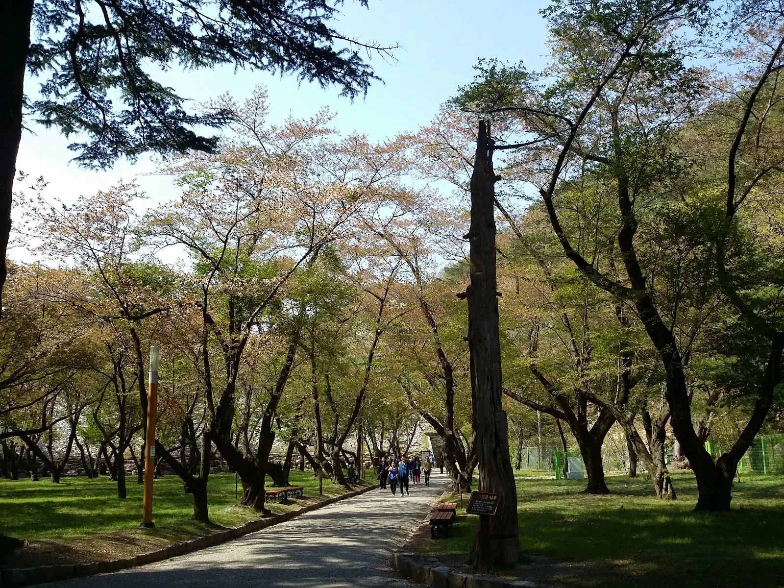 법기수원지