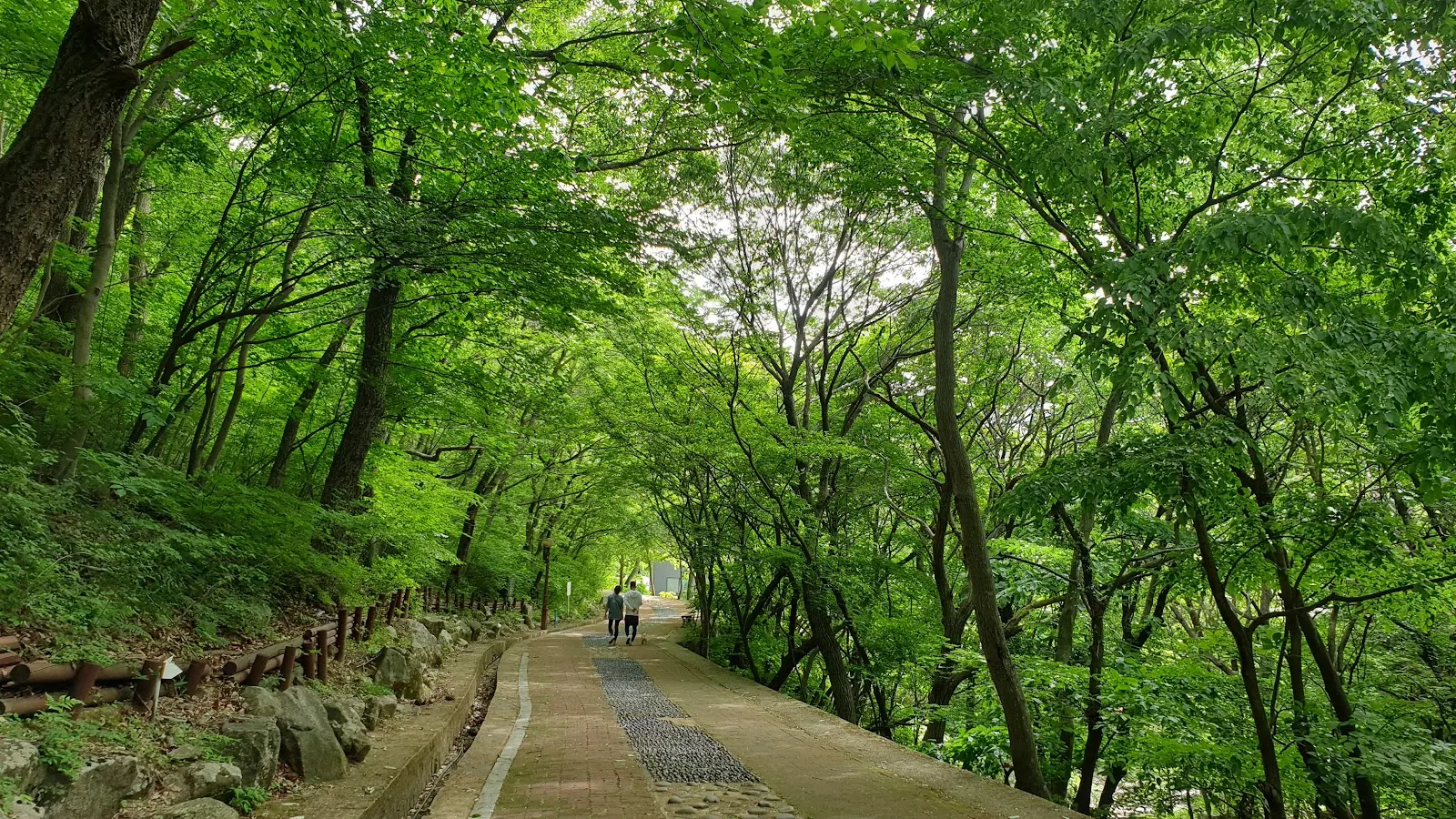 문동휴양지