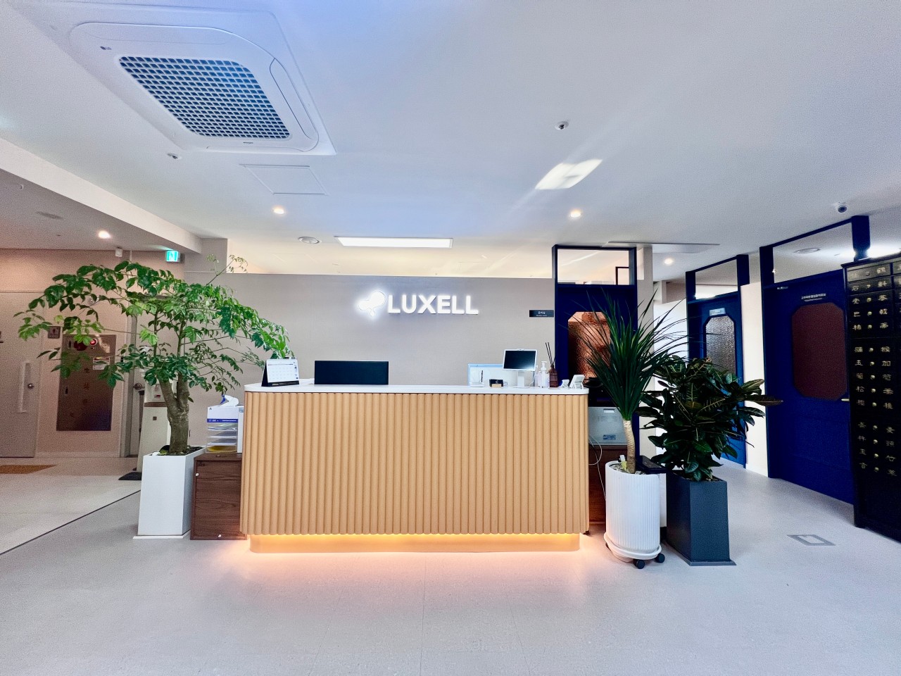 Luxell Clinic (럭쎌내과한의원)