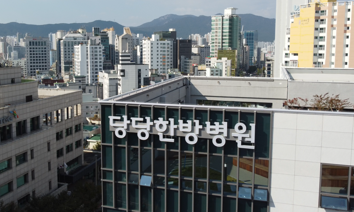 Yeon-San Dangdang Korean Medicine Hospital (연산당당한방병원)