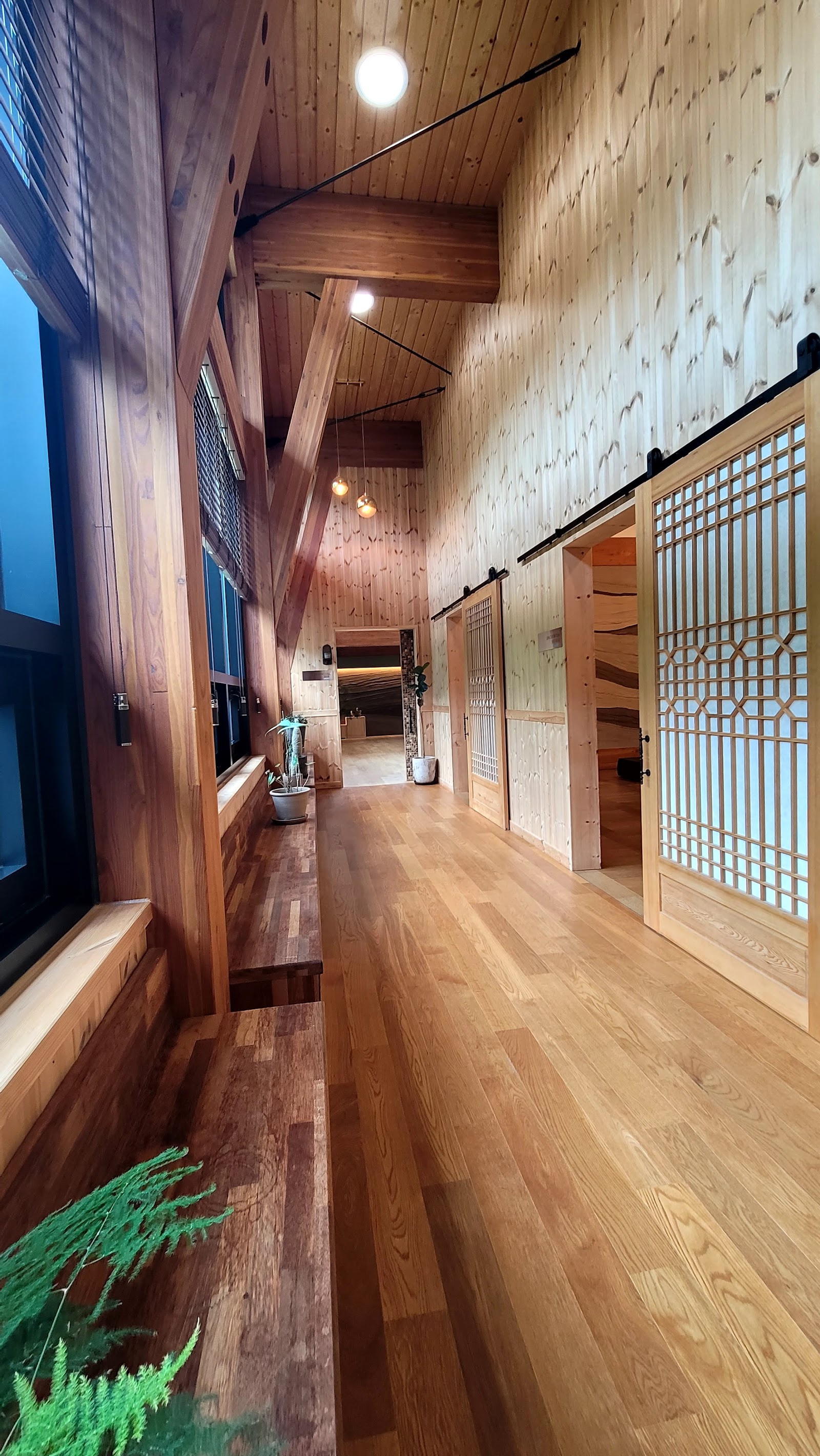 Samcheok Hwalgi Healing Forest (삼척 활기 치유의 숲)