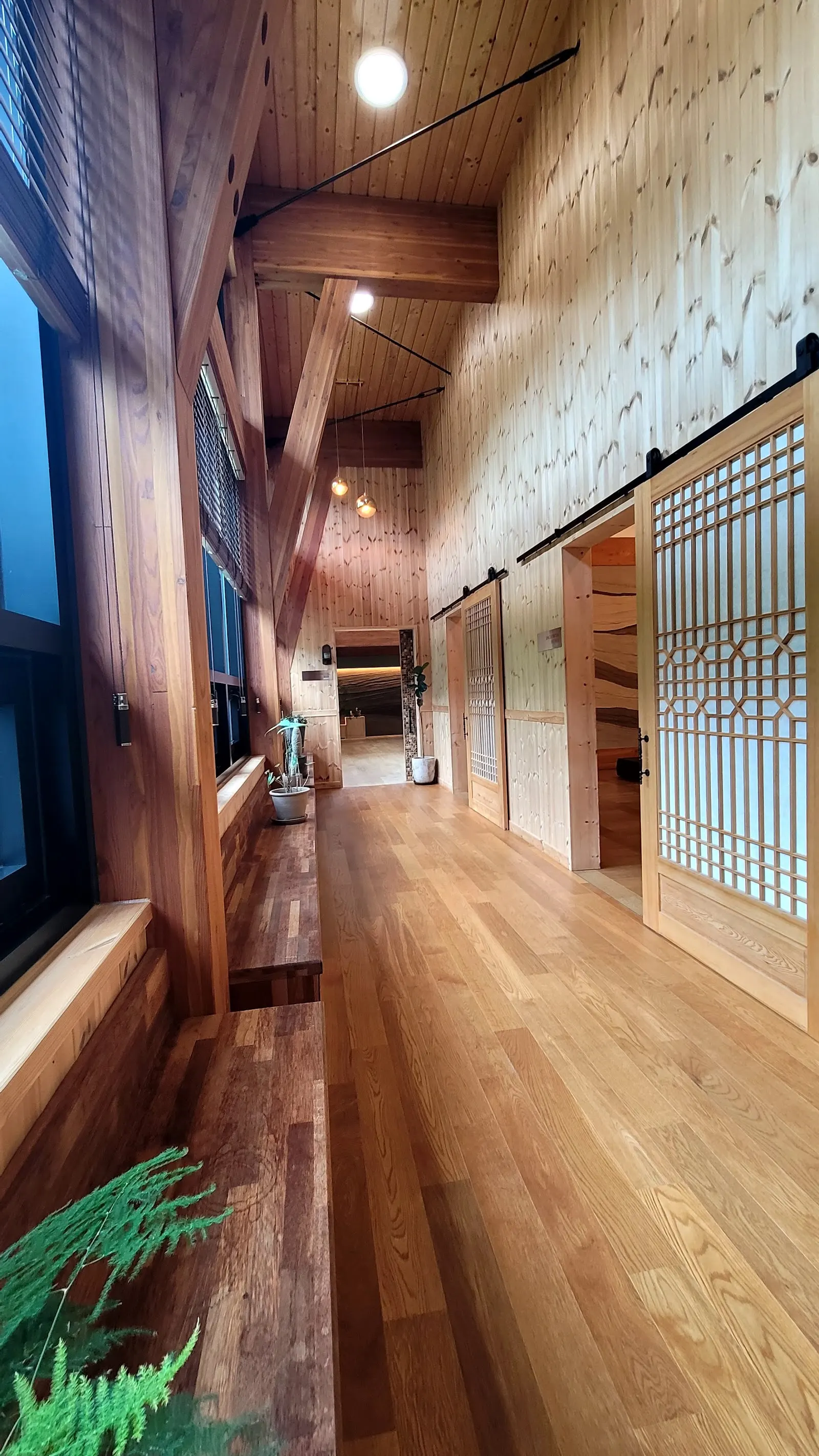 Samcheok Hwalgi Healing Forest (삼척 활기 치유의 숲)