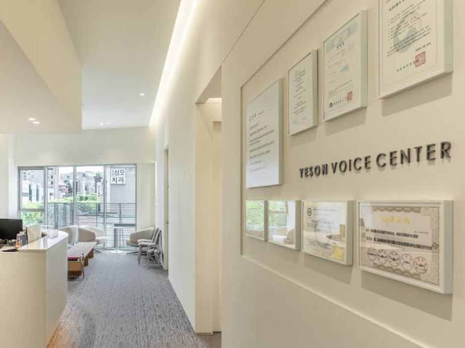 Yeson Voice Center (예송이비인후과 음성센터)