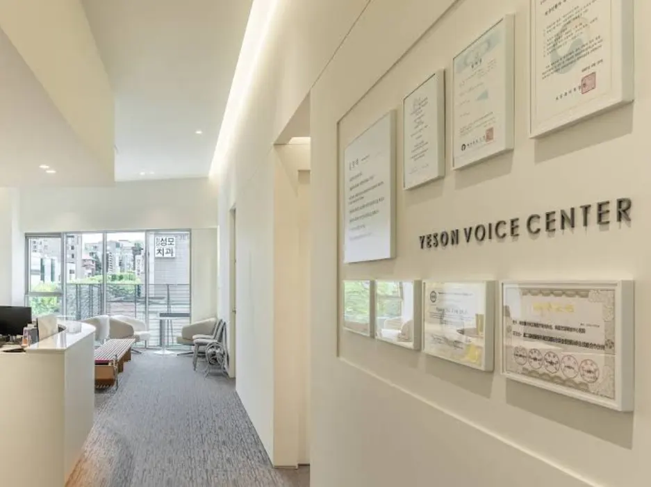 Yeson Voice Center (예송이비인후과 음성센터)