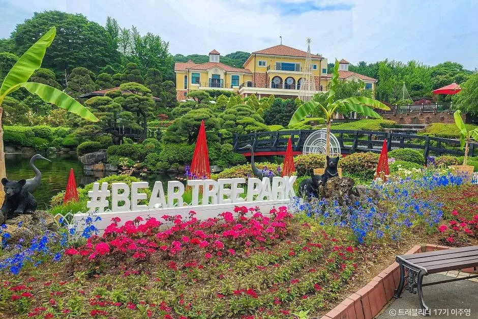 Beartree Park — 한국