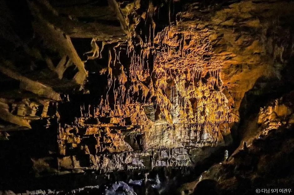 Baengnyongdonggul Cave [Gangwon Paleozoic Geopark] (백룡동굴 (강원고생대 국가지질공원))