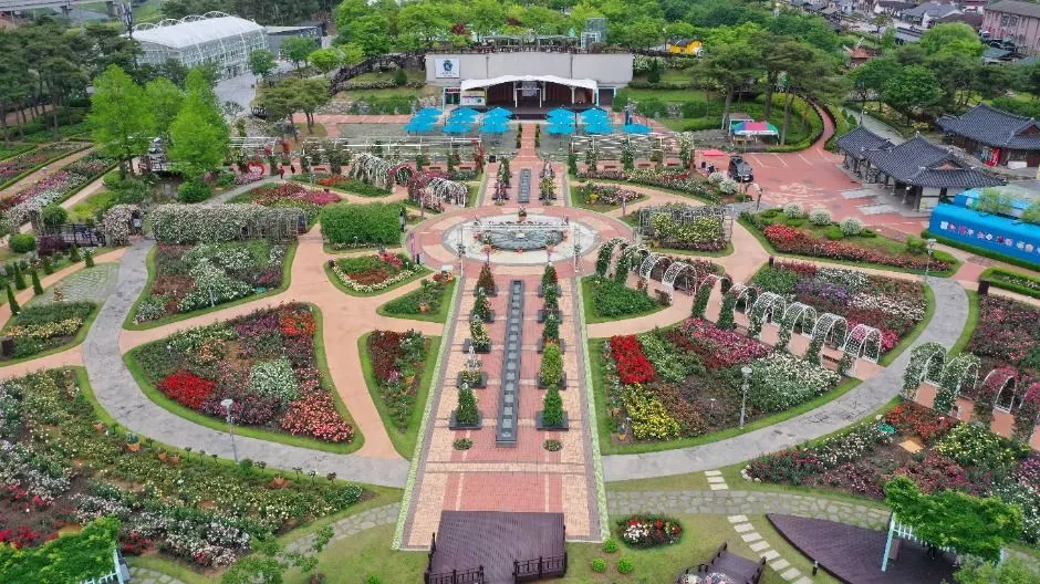 Gokseong International Rose Festival — Korea