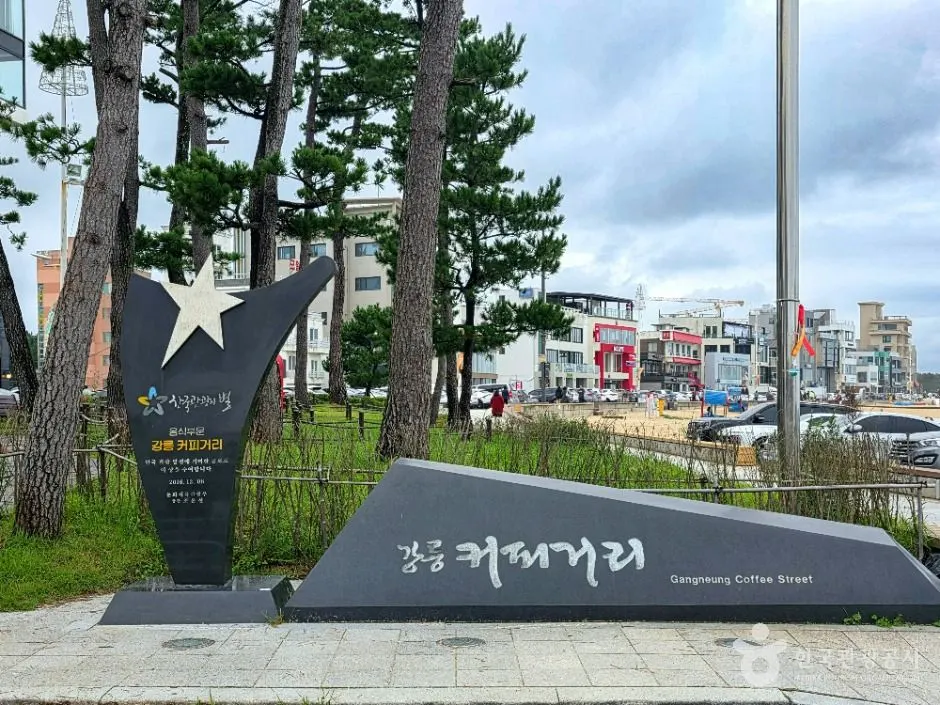 Gangneung Coffee Street (강릉커피거리)