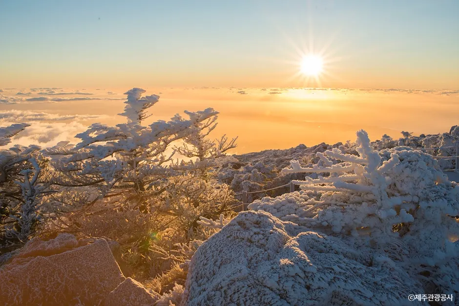 "Highest peak in South Korea?"... Hallasan Mountain, Jeju's UNESCO natural wonder