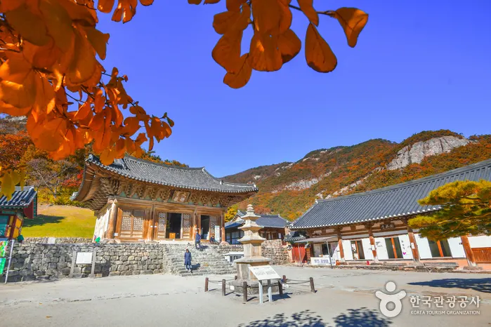 Buan Naesosa Temple (내소사 (부안))