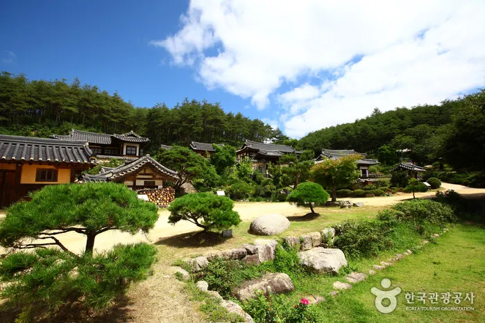 Andong Gunja Village (Ocheon Historic Site) (안동 군자마을(오천유적지))
