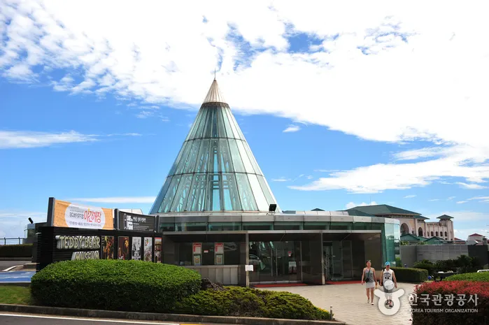 Teddy Bear Museum Jeju (테디베어뮤지엄제주)