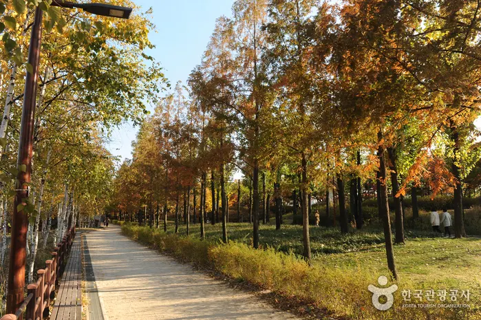 Seonyudo Park — Seoul