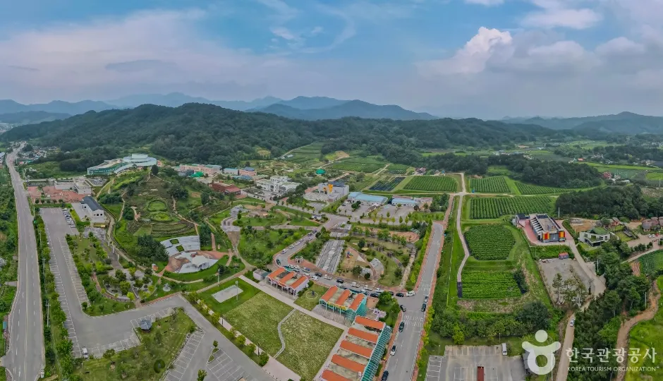 Jamsa Insect Plant (잠사곤충사업장)