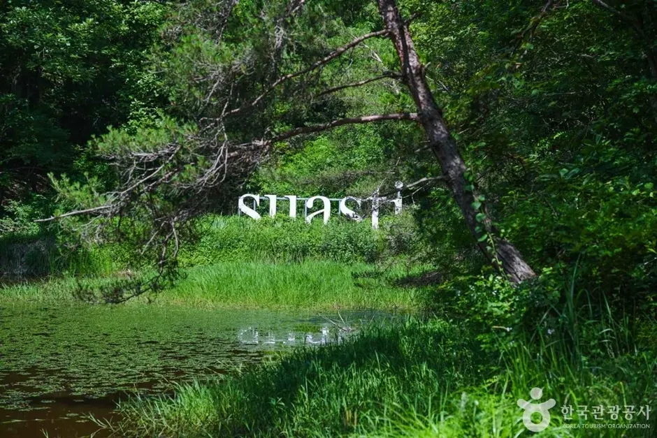 Vanastha (와나스타)