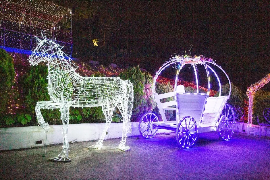 Cheongdo Provence Lighting Festival (청도 프로방스 빛축제)