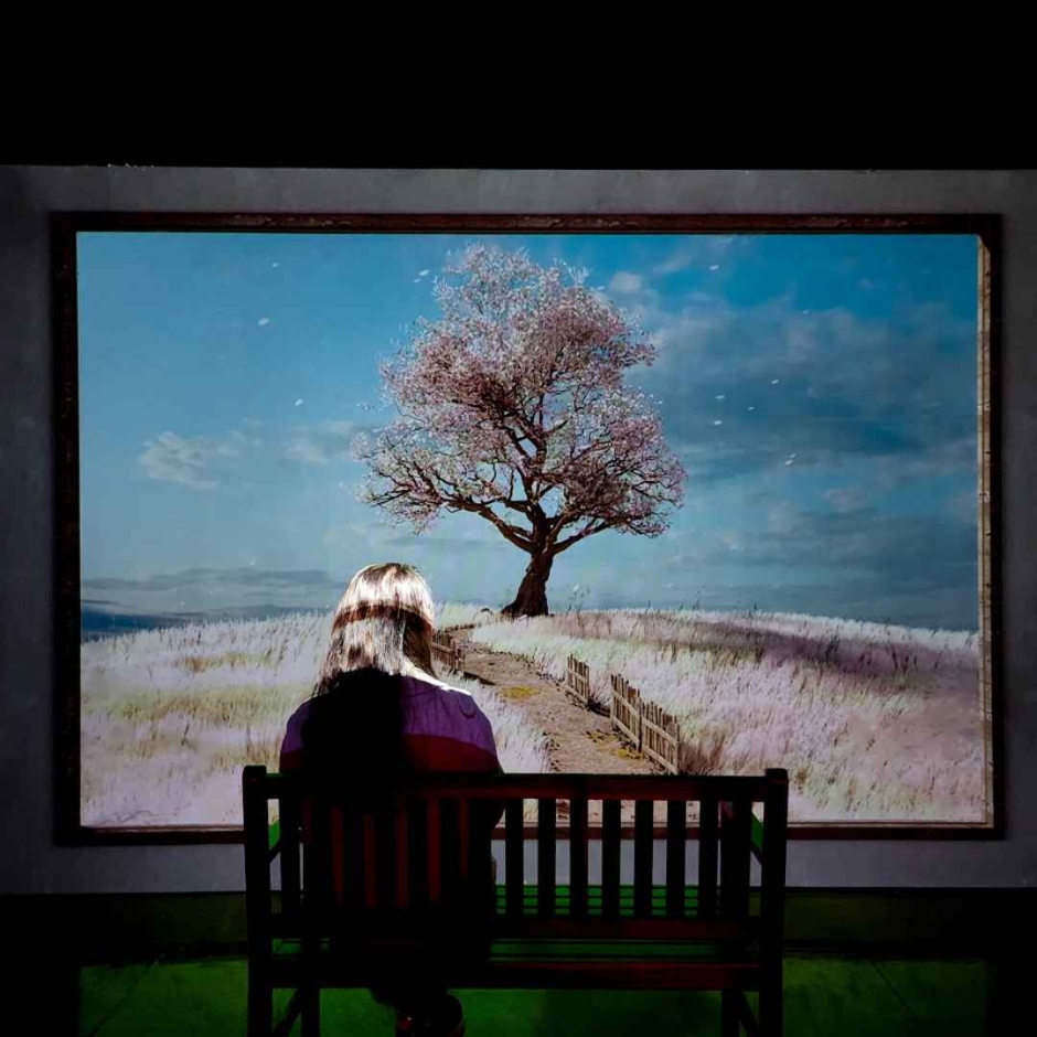 Jeju Holic Museum (제주홀릭뮤지엄)