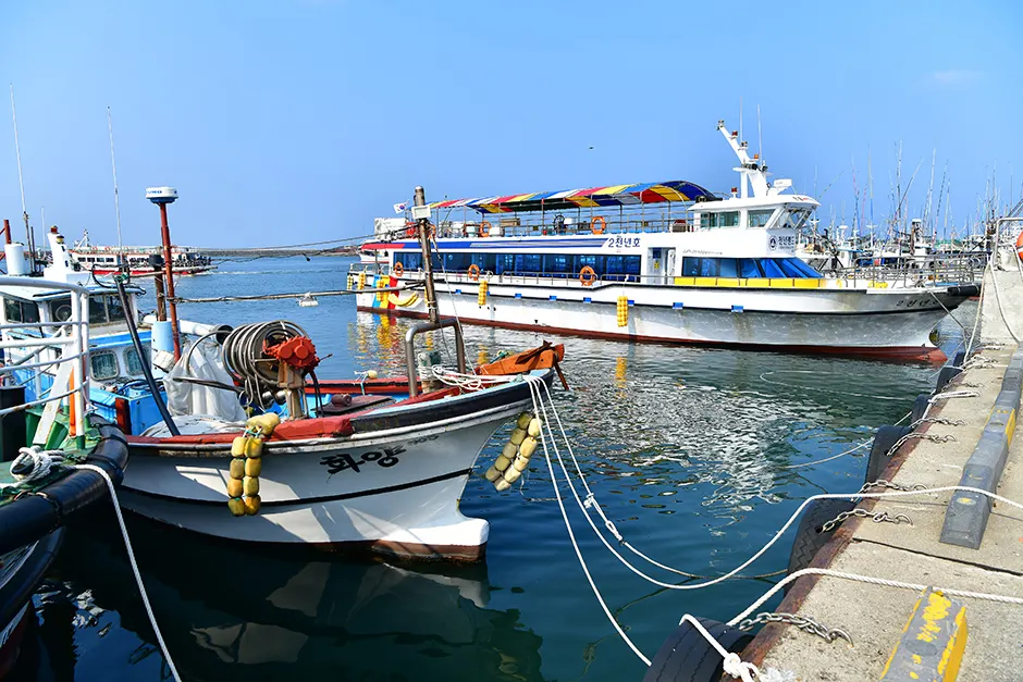 "A Taste of the Sea's Bounty?"... Hallim Port, Jeju's Working Harbor and Gateway to Biyangdo