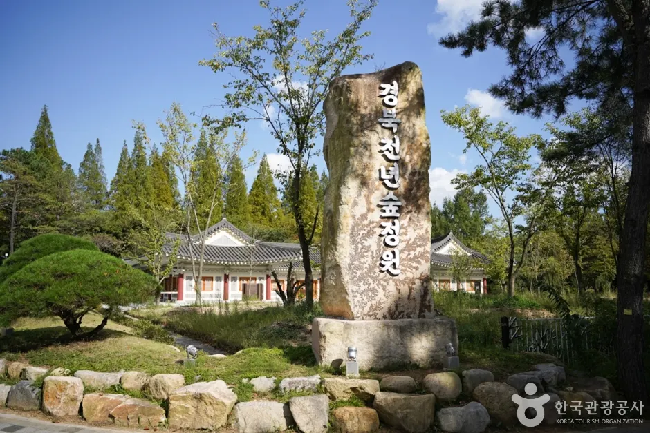 "천년의 녹음을 만나다"... 경북천년숲정원, 자연 속 힐링 명소