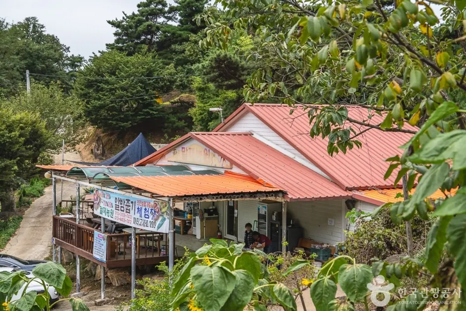 Maljae Farm (말재 농원)