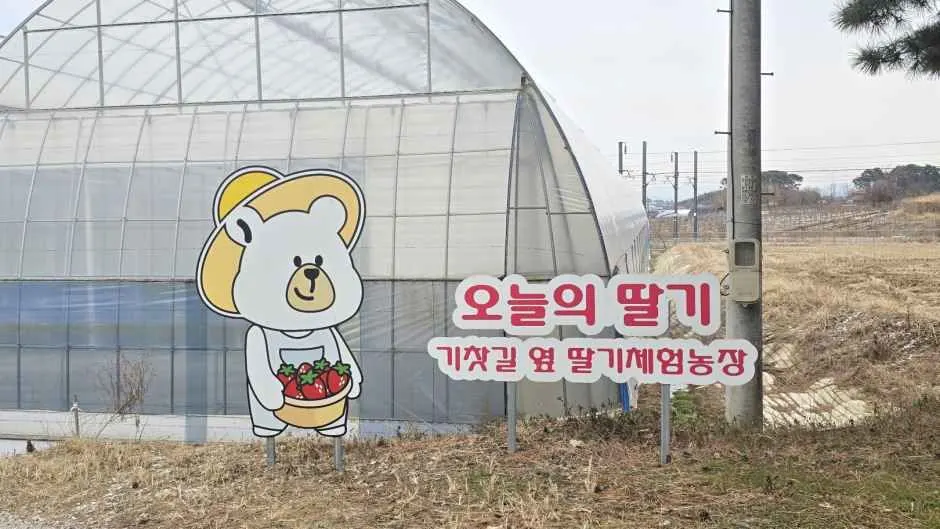 Onurui Ttalgi (Today's Strawberry) (오늘의 딸기)