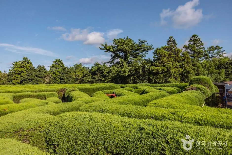 Gimnyeong Maze Park (김녕미로공원)