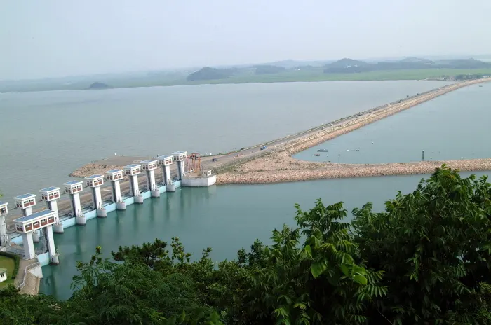 Yeongamho Lake (migratory bird habitat) (영암호 - 철새도래지)