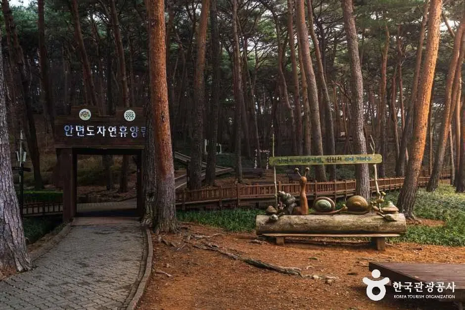 안면도자연휴양림
