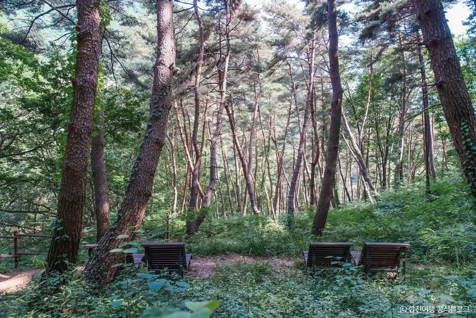 오도산자연휴양림