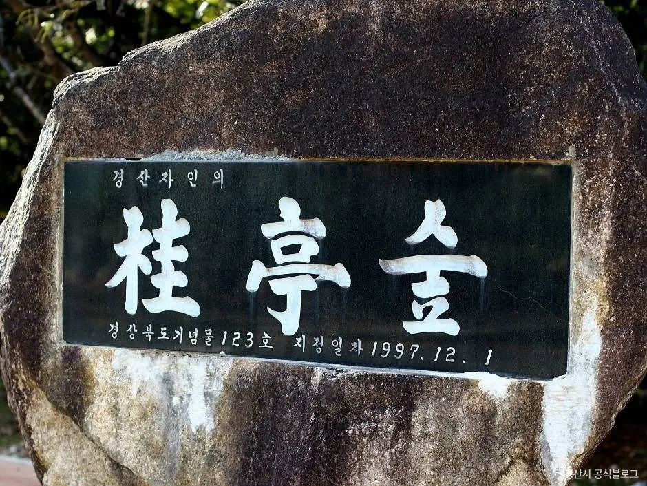 자인계정숲(경산 자인의계정숲)