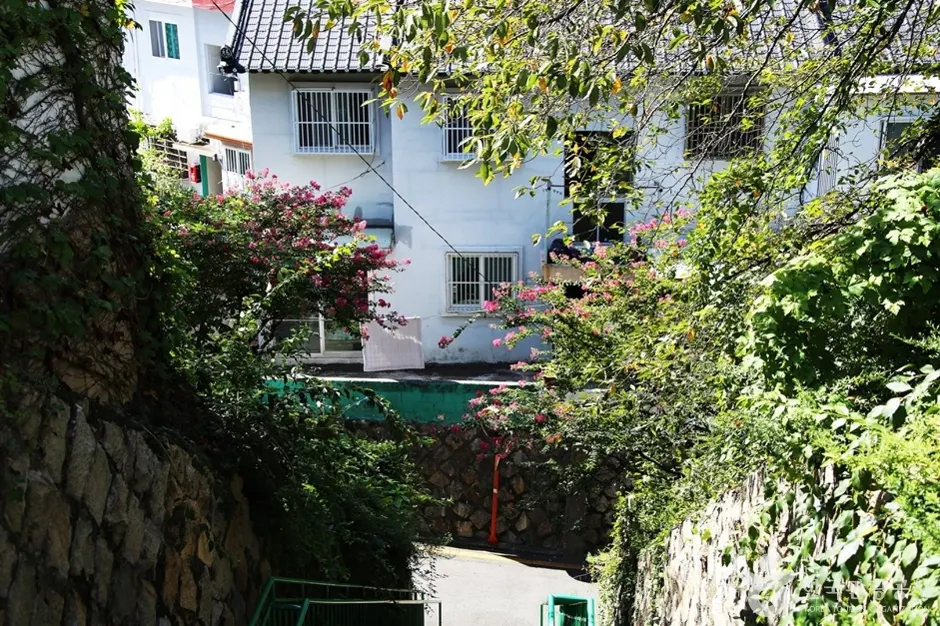 개금벚꽃길