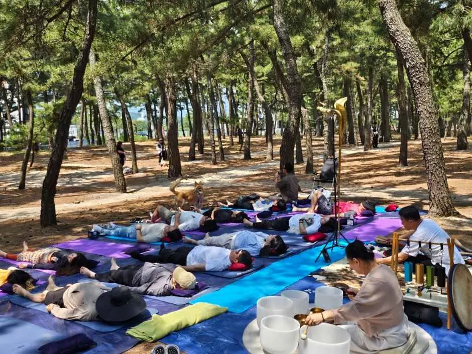 강릉해양레저 펫가족 힐링페스티벌