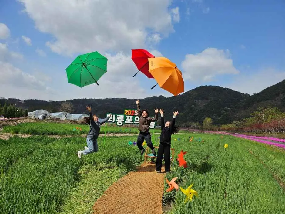 회룡포 봄나들이 축제