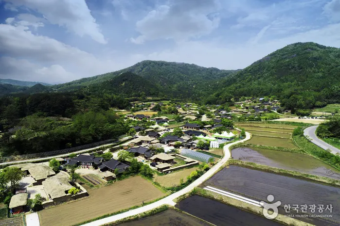 Goseong Wanggok Village (고성왕곡마을)