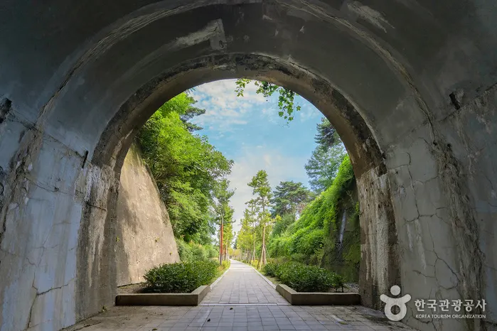 Noam Tunnel (노암터널)