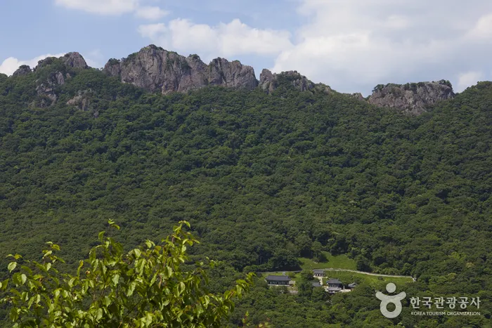 Jeongeup Naejangsan Special Tourist Zone (정읍 내장산 관광특구)