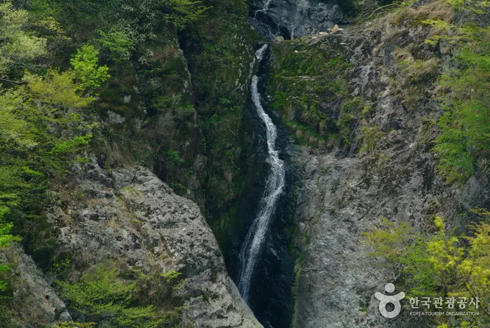 Wibongpokpo Falls — 한국