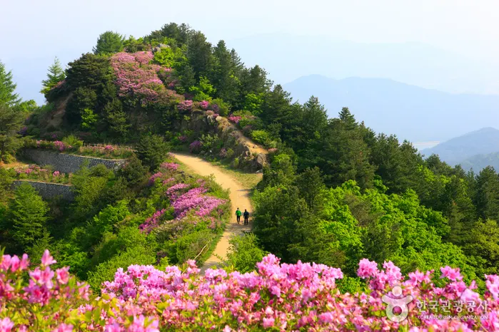 Baraebong Peak (바래봉)