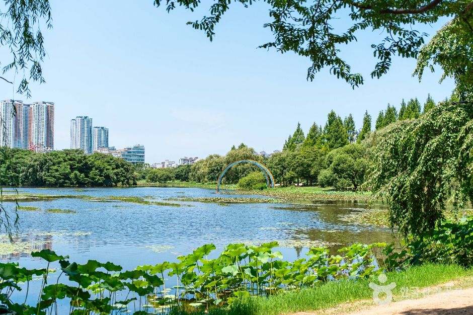 Ilsan Lake Park (일산호수공원)