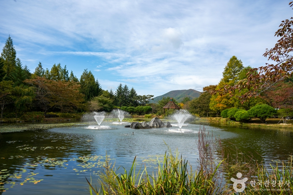 Gyeongsangbuk-do Arboretum (경상북도수목원)