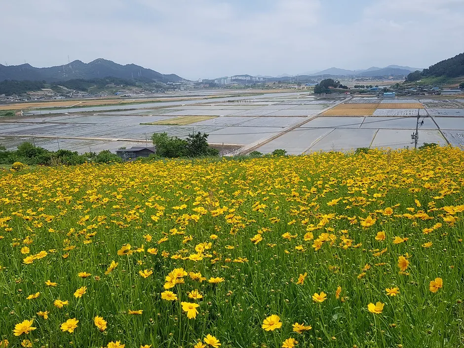 숲쟁이꽃동산