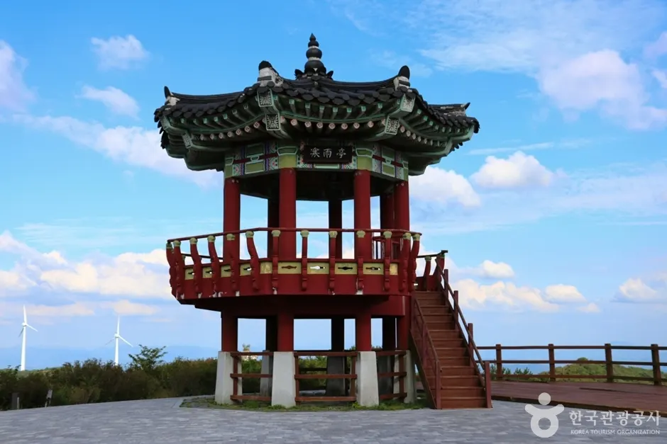쇠목재