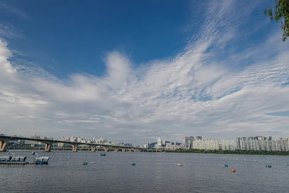 "Seoul's Riverfront Playground?"... Yeouido Hangang Park, a 24/7 Urban Oasis