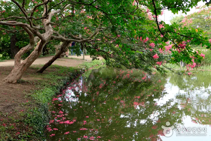 Myeongokheon Garden — 한국