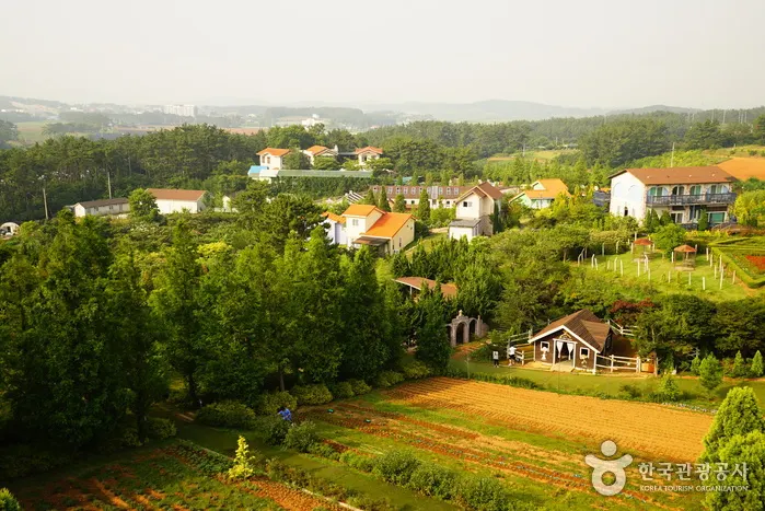 Farm Kamille, Taean — 한국