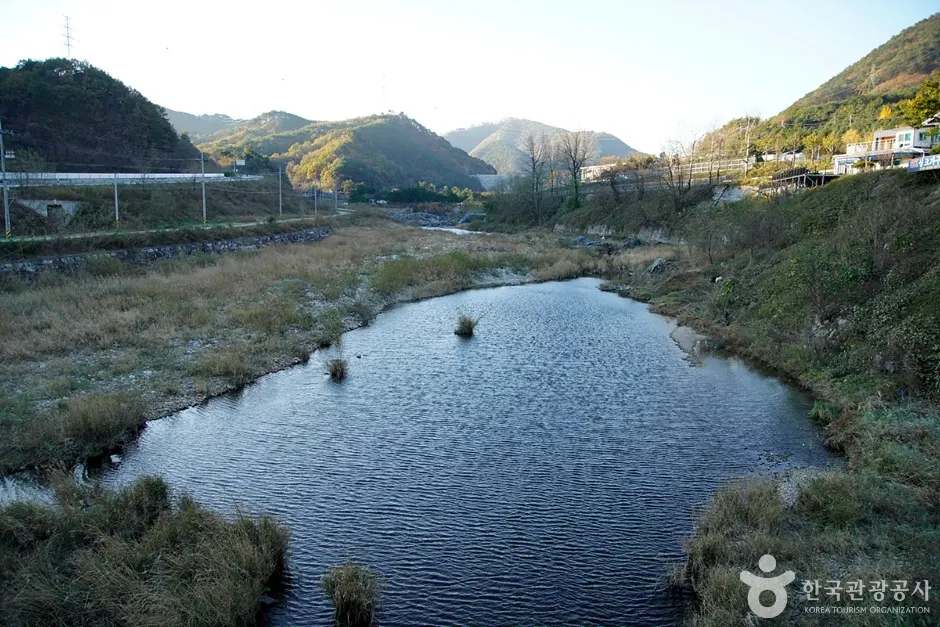 Namdaecheon Stream (남대천(강릉))