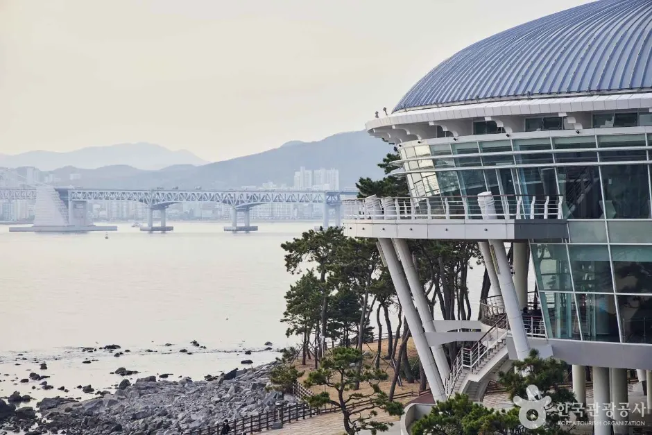 "A Seaside Escape from the City Buzz?"... Busan's Dongbaekseom Island, a Tranquil Coastal Walk