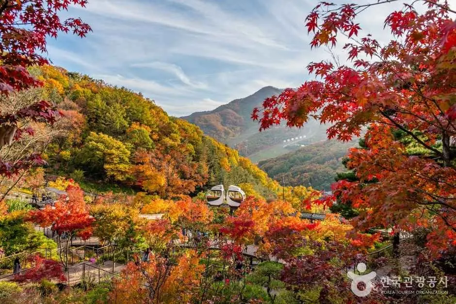 Hwadam Botanic Garden (화담숲)