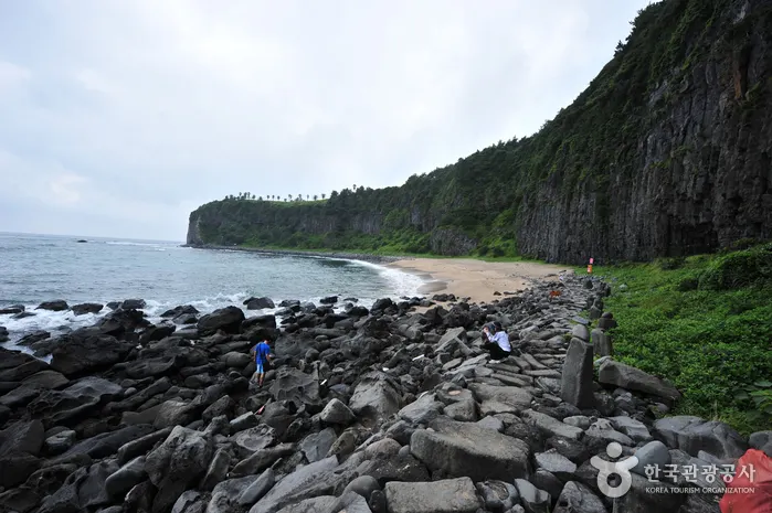 Jeju Island Special Tourist Zone (제주도 관광특구)