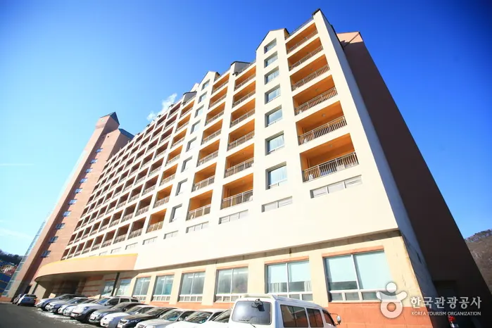 Yangji Pine Resort (양지파인리조트)